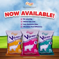 Swine Complete Feeds