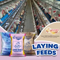 Poultry Complete Feeds