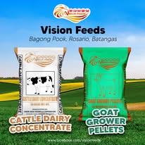 Cattle & Dairy Feeds