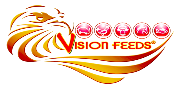 Vision 2000