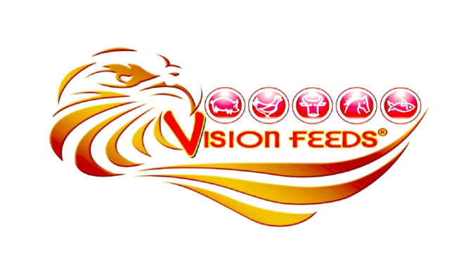 Vision 2000 Logo